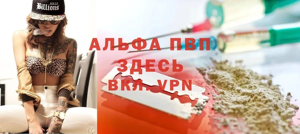 стаф Белокуриха