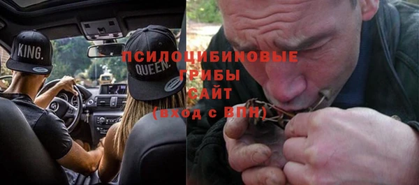 стаф Белокуриха