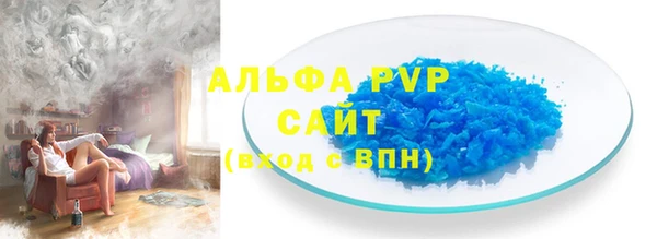 стаф Белокуриха