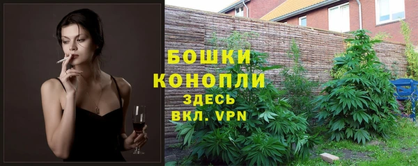 гидра Белоозёрский