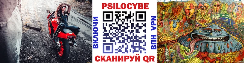 Галлюциногенные грибы Cubensis  Ясногорск 